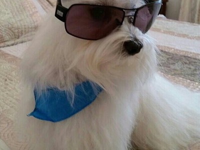 IMG_2017 03 08 15:10:16